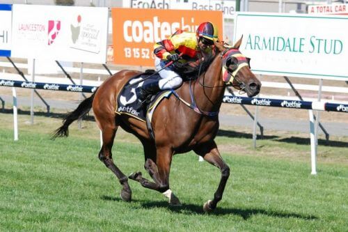 Launceston Cup