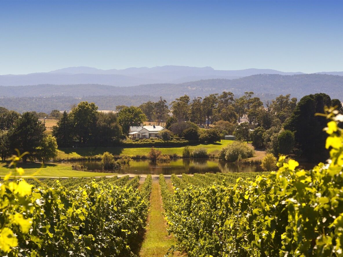 Josef Chrome Wines